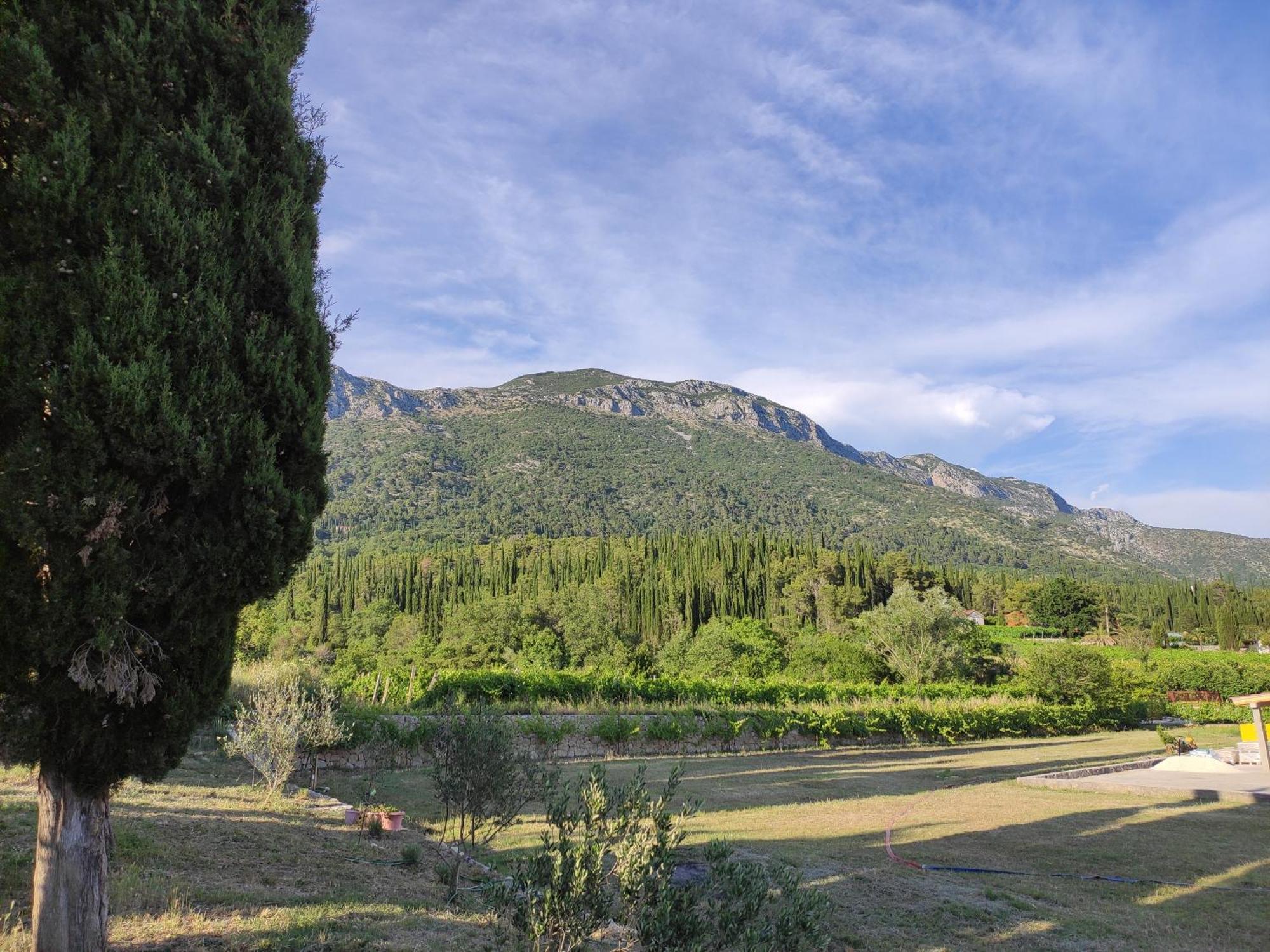 Country House Uros In Nature With Pool Lovorno Екстериор снимка