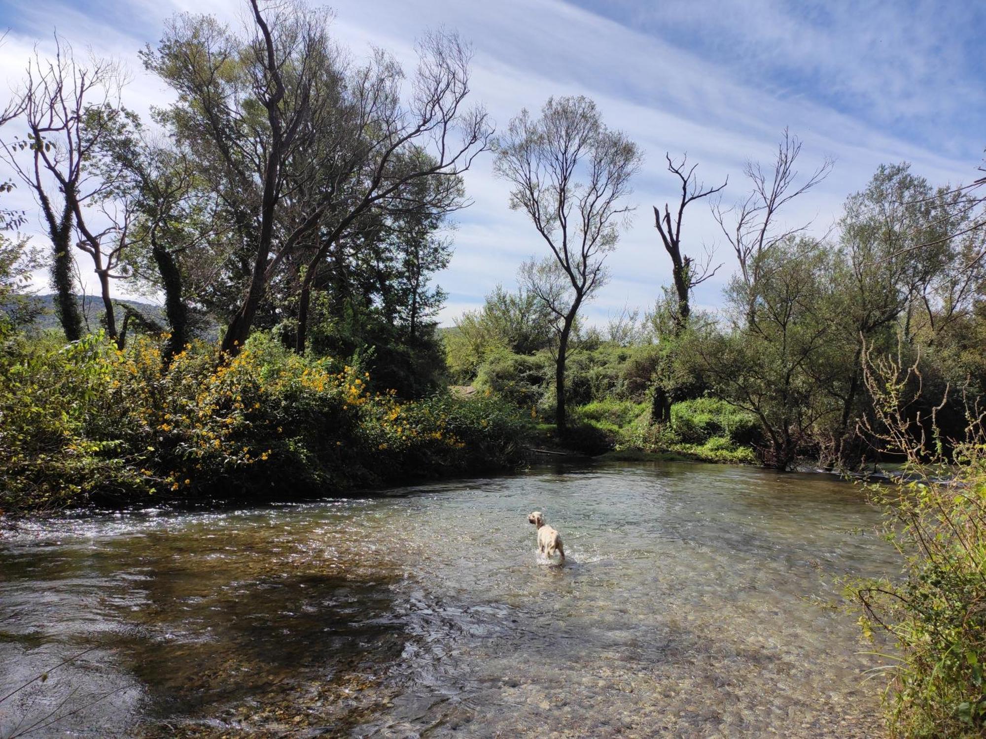 Country House Uros In Nature With Pool Lovorno Екстериор снимка