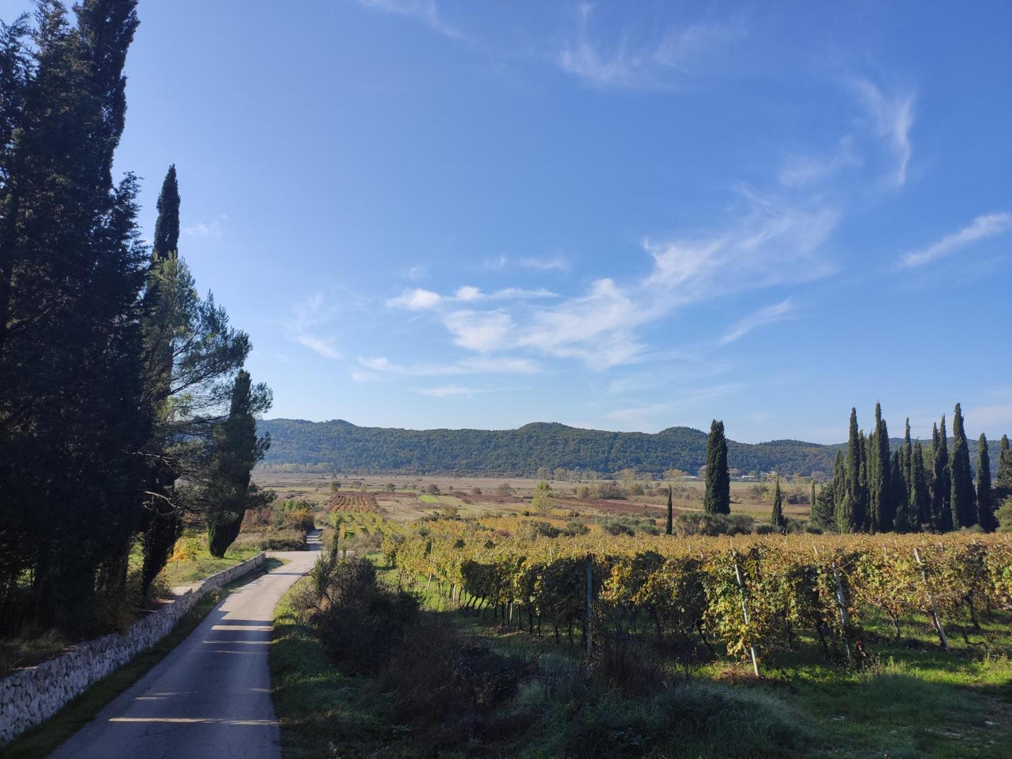 Country House Uros In Nature With Pool Lovorno Екстериор снимка
