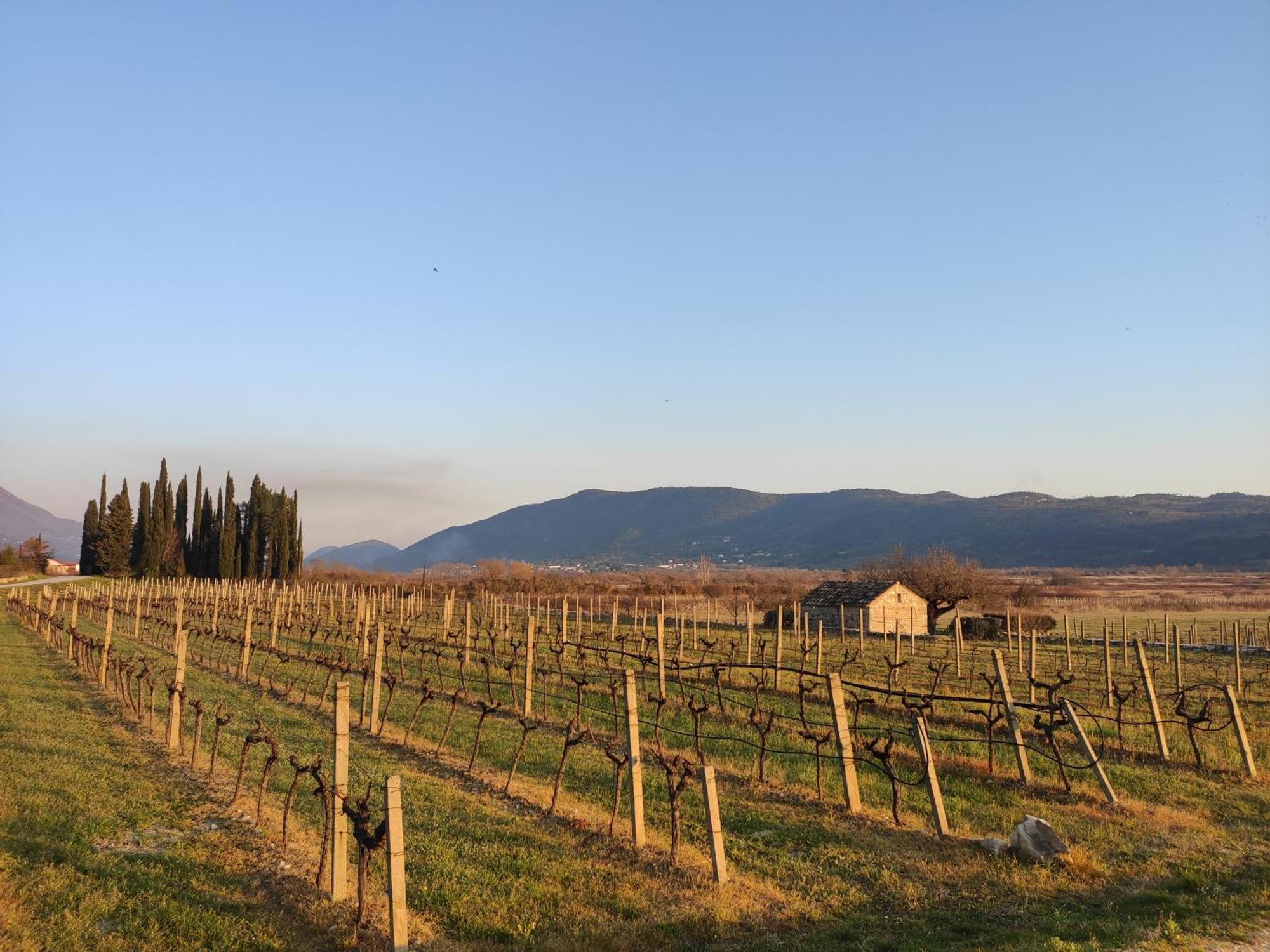 Country House Uros In Nature With Pool Lovorno Екстериор снимка